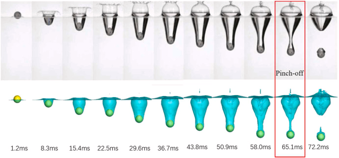 a72bdbf6-06ad-4f91-8cb0-05d6ada9f5cc-image.png