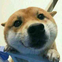 熊咔咔 熊咔咔