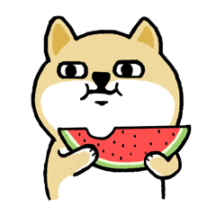 :chigua: